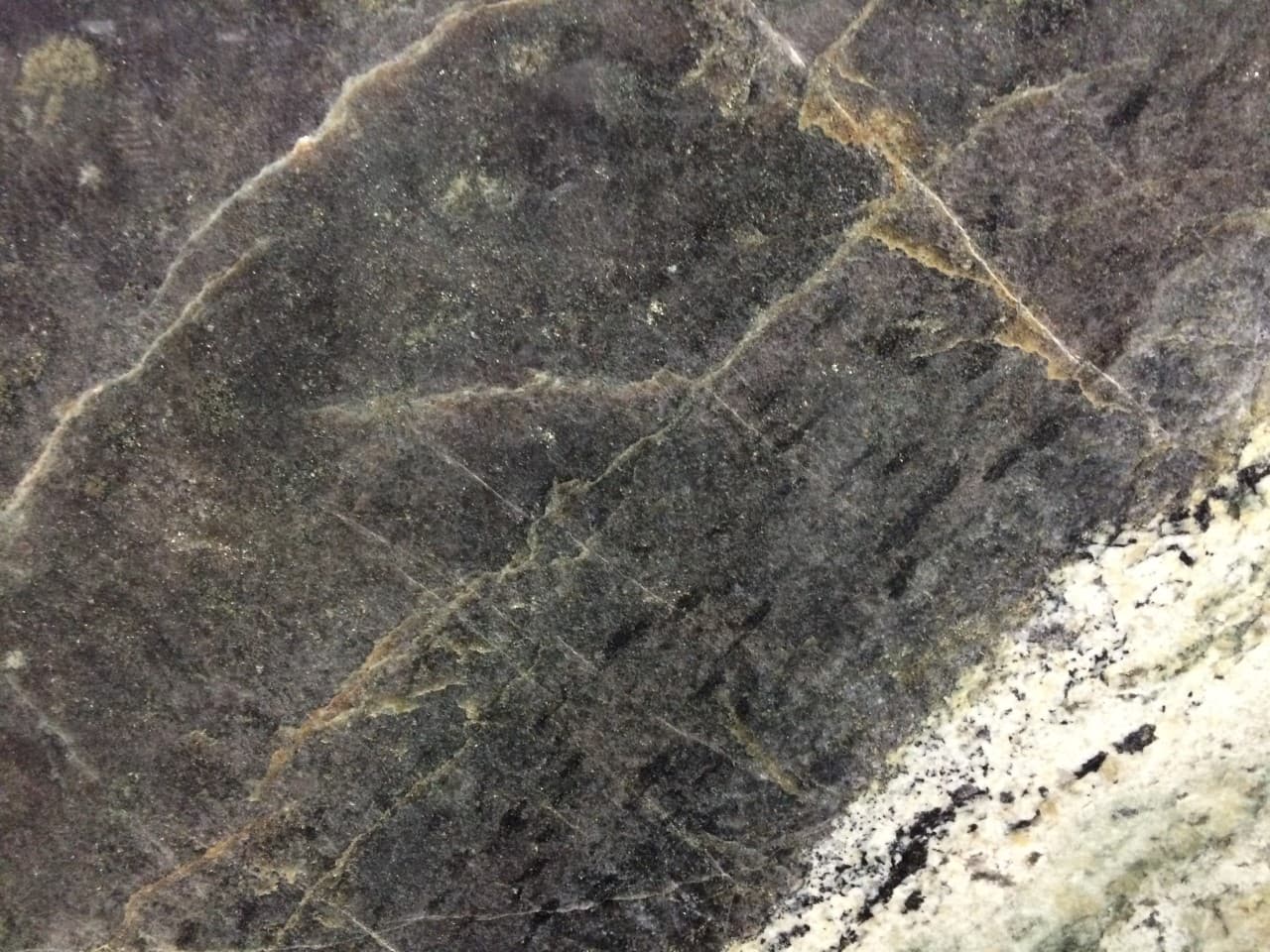 Cariri Blue, quartzite slab