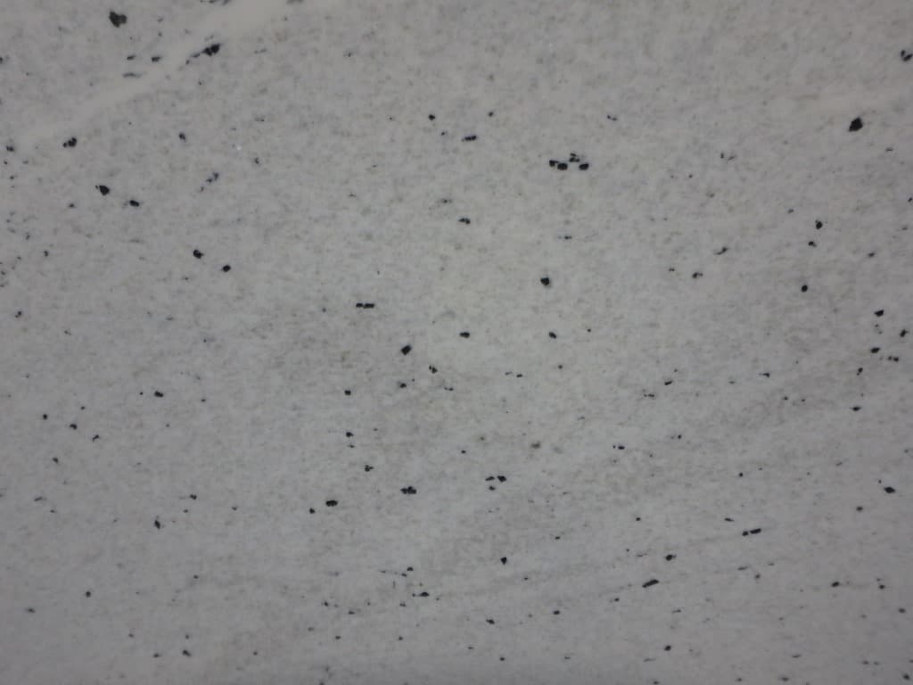 Cotton White, granite slab