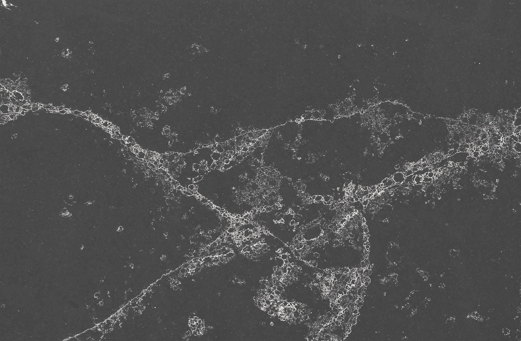 Portoro Black, quartz slab