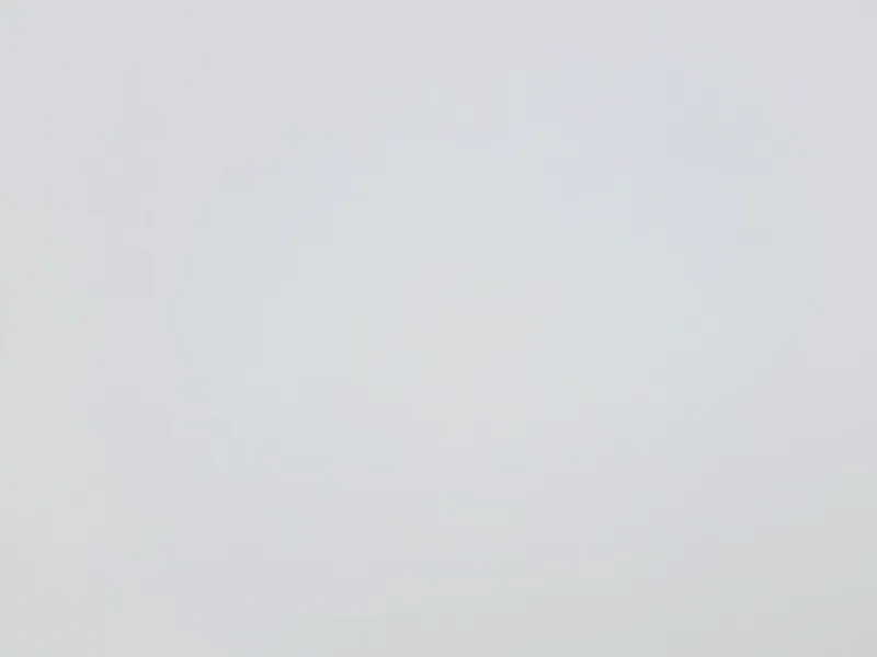 Absolute White Honed, honed, porcelain, slab