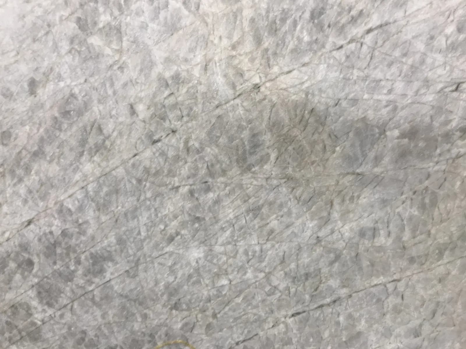 Madre Perla, quartzite, slab