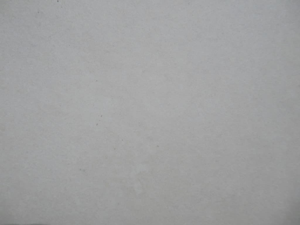 ECF White, a porcelain slab, at KLZ Stone Supply in Dallas
