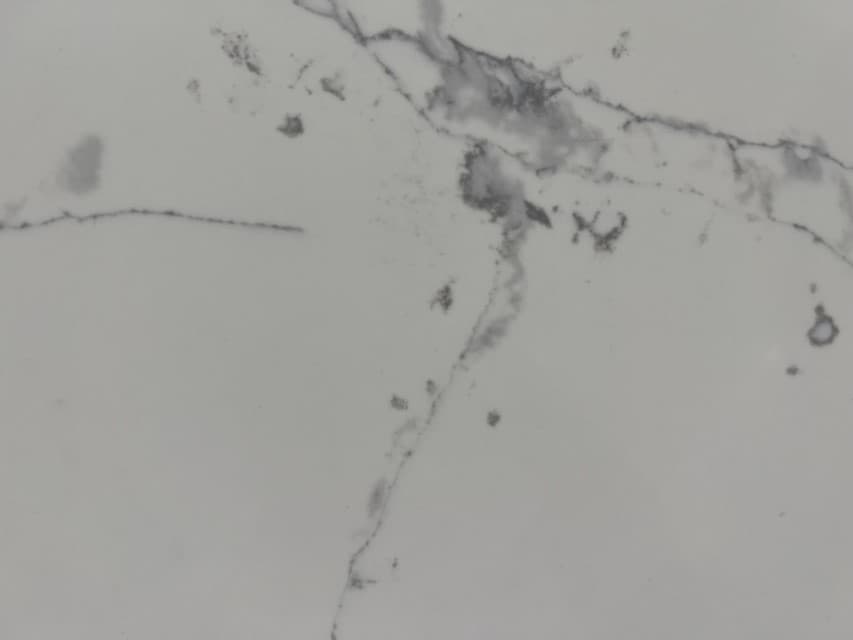 Statuario Ultra SP, a quartz slab, at KLZ Stone Supply in Dallas