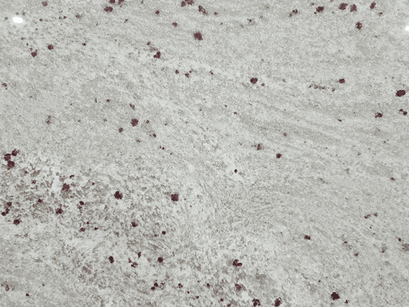 Amba White, granite slab