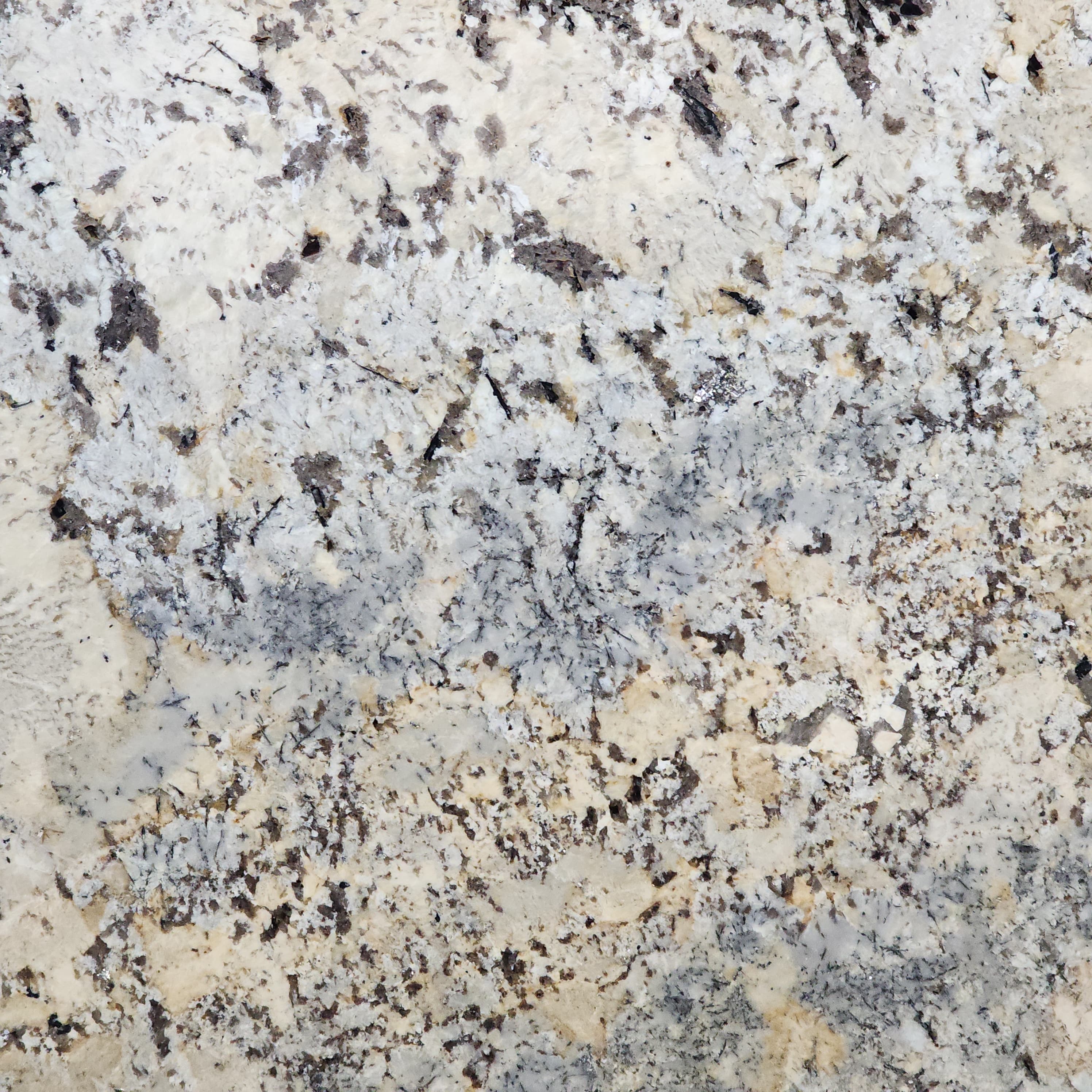 Crema Beach Leather, a granite slab, at KLZ Stone Supply in Dallas