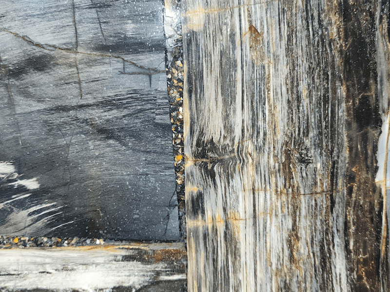 Black Petrified Wood, semi-precious slab