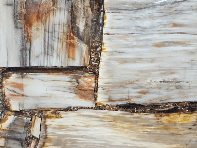 Brown Petrified Wood, semi-precious slab