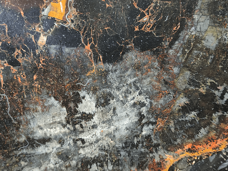 Fancy Black Petrified Wood, a semi-precious slab, at KLZ Stone Supply in Dallas