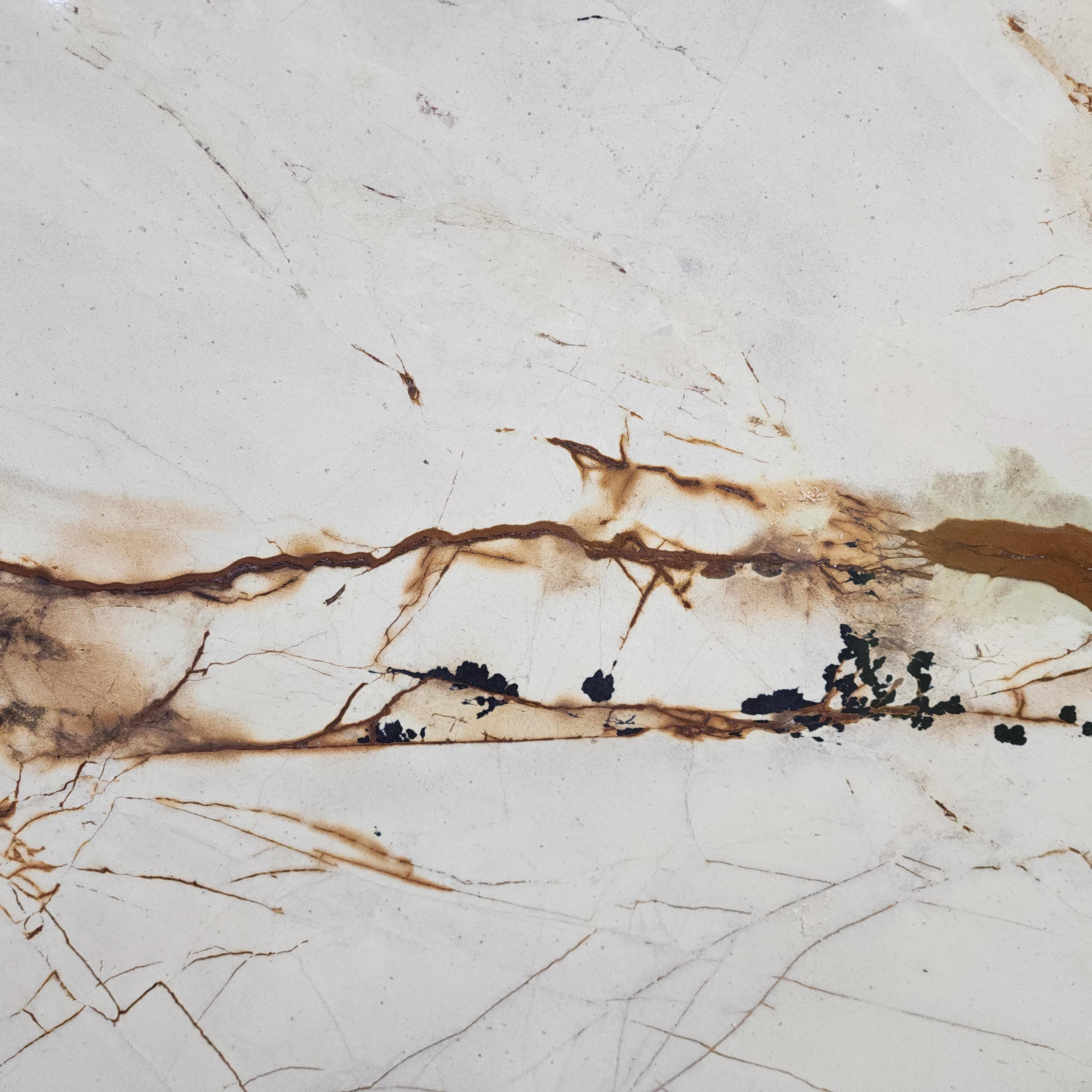 Roma Imperiale, a quartzite slab, at KLZ Stone Supply in Dallas