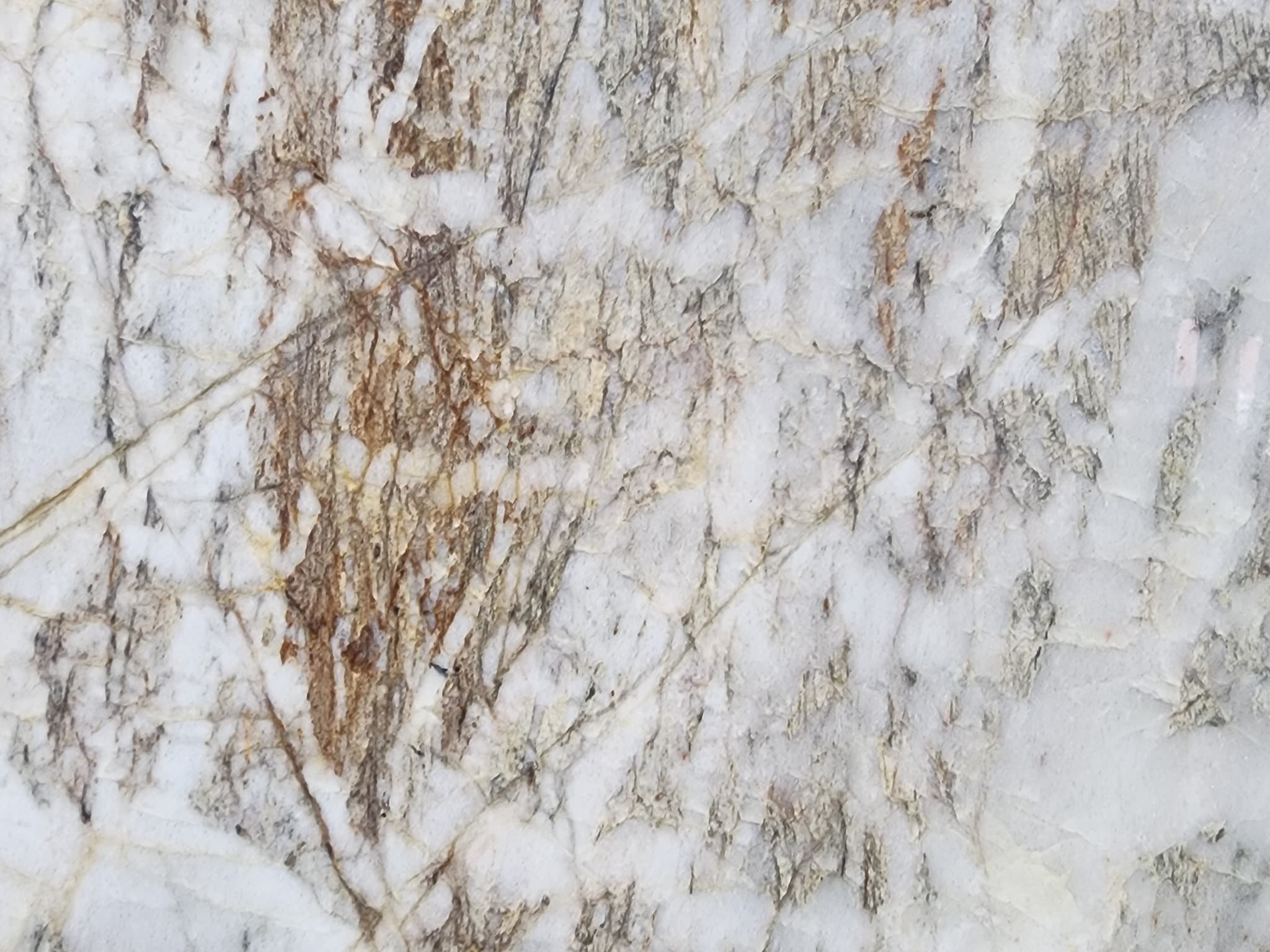 Venus, a quartzite slab, at KLZ Stone Supply in Dallas