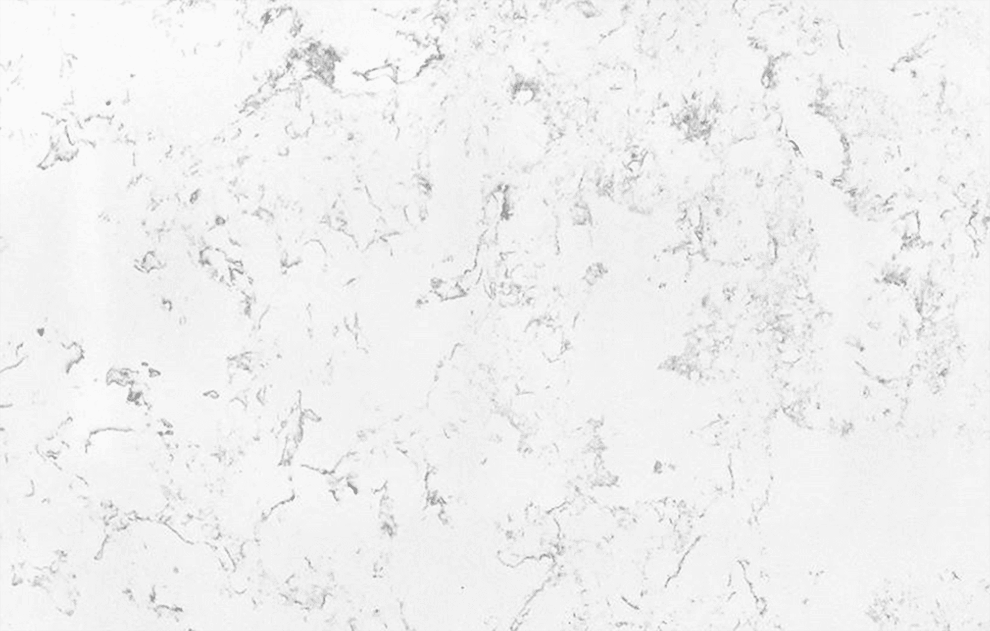 Carrara Natura SP, a quartz slab, at KLZ Stone Supply in Dallas