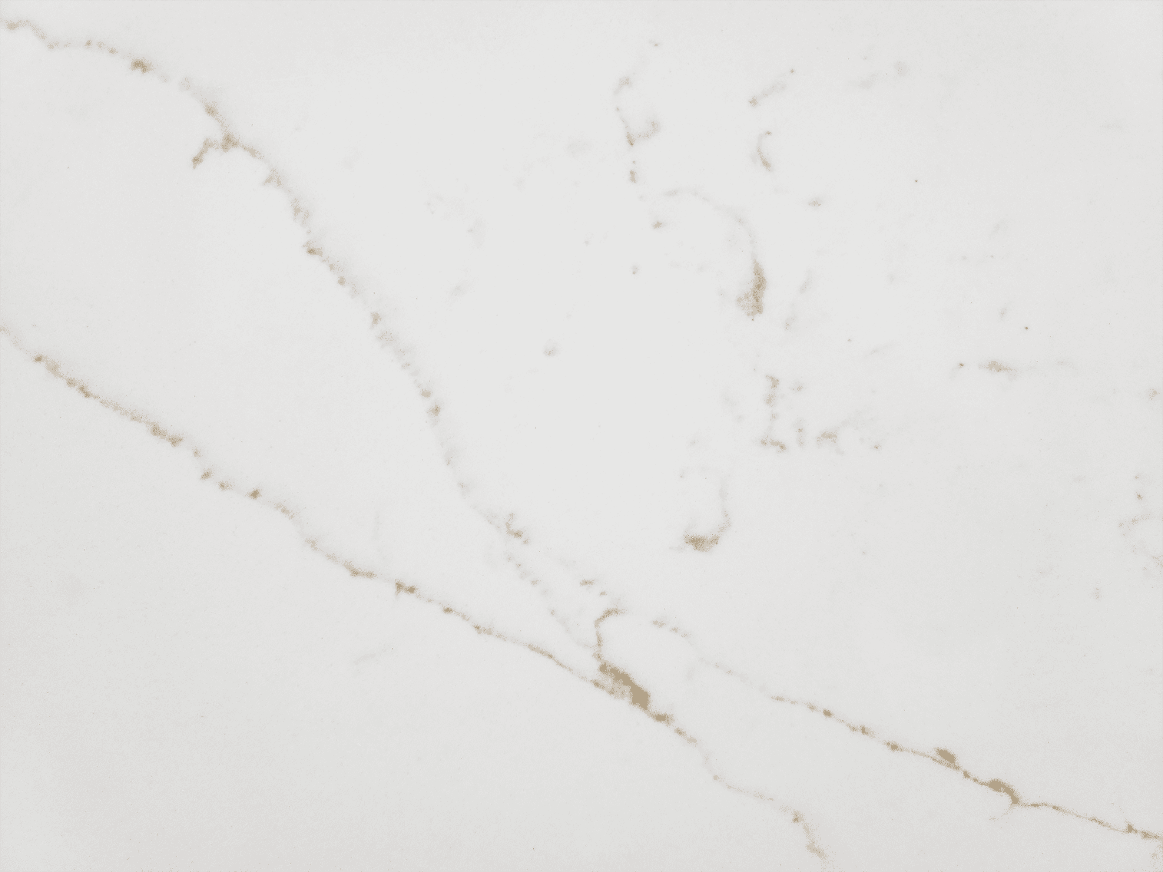 Calacatta Raphael Gold SP, at KLZ Stone Supply in Dallas